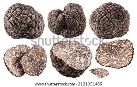 Set of black winter truffle and truffle slices on white background. File contains clipping path. Foto d'archivio © 