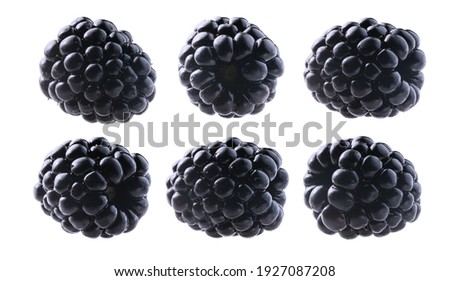 A set of blackberries. Isolated on a white background