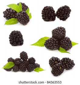 Set With  Blackberries On A White Background