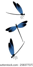 Un conjunto de libélulas azules. Dragón alado. Escarabajo de verano.
Libélula realista sobre un fondo blanco. Insectos dibujados. Concepto de Naturaleza y botánica