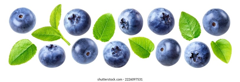 Conjunto de arándanos y hojas de arándano azul aisladas sobre fondo blanco. Grupo cerrado de arándanos frescos maduros con hojas.