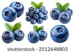 Set of blueberries isolated on a white background. Blueberries with leaves, closeup. Collection of fresh blueberries.