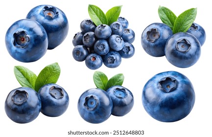 Set of blueberries isolated on a white background. Blueberries with leaves, closeup. Collection of fresh blueberries.