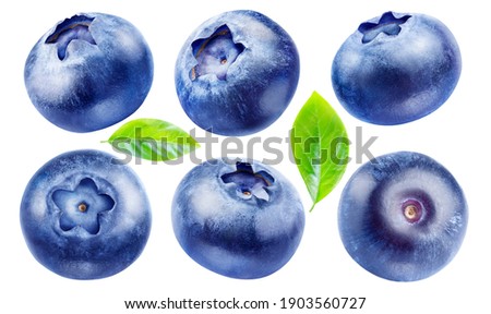 Set of blueberries with leaves isolated on white background with clipping path.