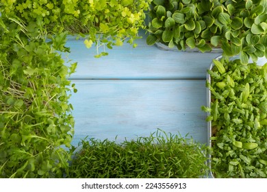 Set of boxes with microgreen sprouts of spinach, carrot, chrysanthemum, borage,  mizuna cabbage on blue wooden background. Top view, flat lay, copy space, frame form. - Shutterstock ID 2243556913