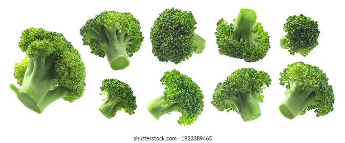 A set of broccoli. Isolated on a white background - Shutterstock ID 1923389465
