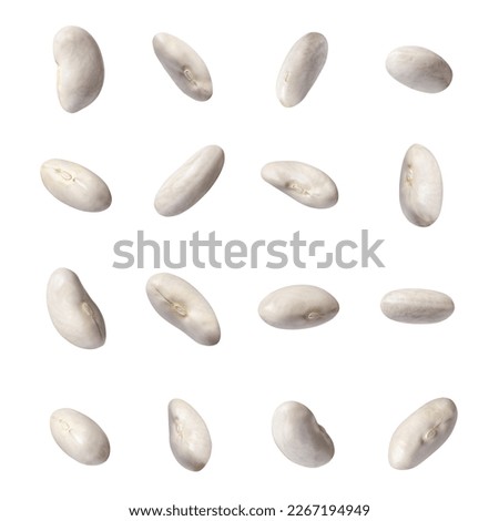 set of butter beans isolated on white background