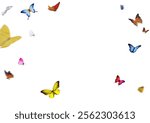 Set of butterflies on transparent background. Butterfly with dif