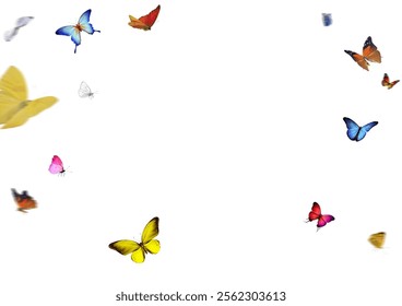 Set of butterflies on transparent background. Butterfly with dif