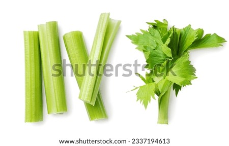 Set of celery stalks close-up on a white background. Top view