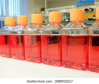 A Set Of Cell Culture Media On A Bench In A Lab