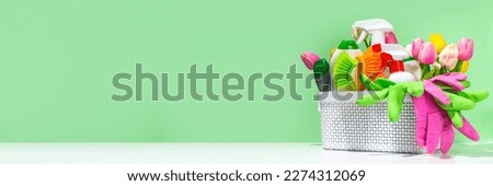 Set of cleaning supplies and utensils, with spring flowers on high-colored pastel green background. Spring house cleaning concept. Woman hands hold spray detergent, with cleaning gloves and wipes