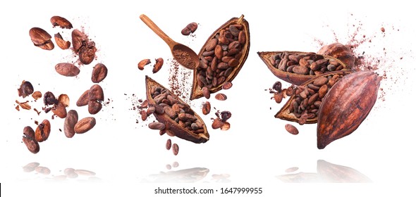 Set with A lot of cocoa pod and beans, cracked and whole isolated on a white background. Food levitation concept, flying in the air.