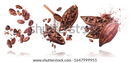 Similar – Image, Stock Photo Cacao beans drying in the sun at Roça Diogo Vaz