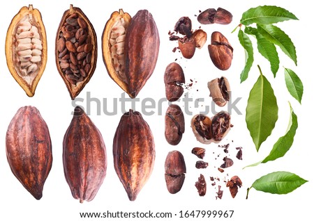 Similar – Image, Stock Photo Cacao beans drying in the sun at Roça Diogo Vaz