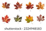 Set and collection of beautiful autumn leaves isolated on white background with clipping path. Full Depth of field. Focus stacking. PNG. Generative AI technology