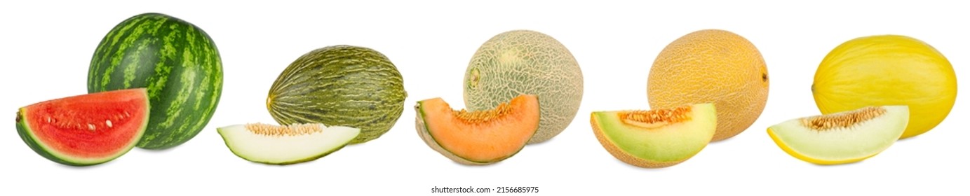 Set Collection Row Of Various Kind Of Fruit Melons Like Watermelon Cantaloupe Gaya Charente And Galia With Melon Slice Isolated On White Background. Healthy Nutrition Eating Concept