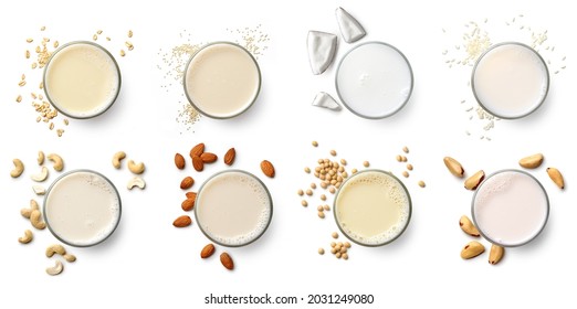 Set or collection of various vegan milk (almond, soy, rice, coconut, quinoja, brazil nut, cashew, oat) isolated on white background, top view. Dairy free, plant based drink. - Shutterstock ID 2031249080
