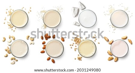 Set or collection of various vegan milk (almond, soy, rice, coconut, quinoja, brazil nut, cashew, oat) isolated on white background, top view. Dairy free, plant based drink.