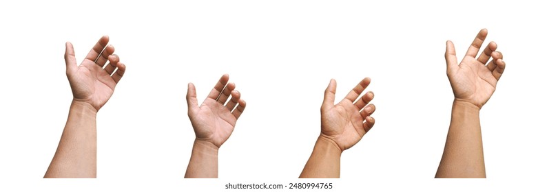 Set of collections of men's hands gesticulating like holding something such as a phone or a water bottle, isolated on a white background. - Powered by Shutterstock