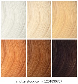 Blonde Hair Palette Images Stock Photos Vectors Shutterstock