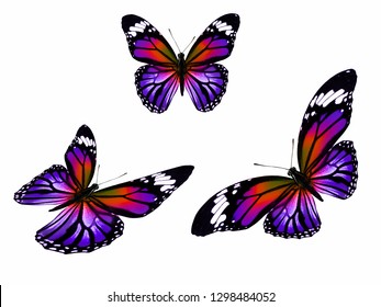 Set Colored Butterflies Isolated On White Stock Photo 1298484052 ...