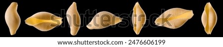 Set of conchiglie pasta shell isolated on black background.