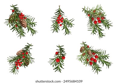 Set of coniferous branches with cones and artificial red berries isolated on a white background. Design element for creating festive Christmas arrangements, frames, cards, invitations. - Powered by Shutterstock