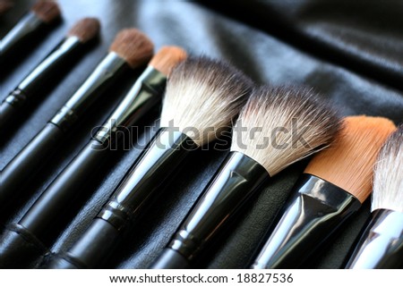 Set of cosmetic brushes in a black leather case