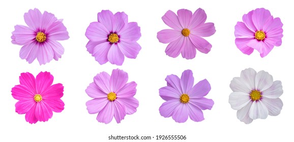 20,219,724 Jardines de flores Images, Stock Photos & Vectors | Shutterstock