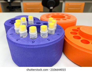 Set Of Cryovials In Purple Container For Cryopreservation Of Biological Samples Like Cancer Cell Lines, Stem Cells And Primary Human Cells. Precious Biological Material Is Preserved In Liquid Nitrogen