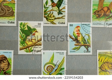 set of Cuban postage stamps with animals and birds