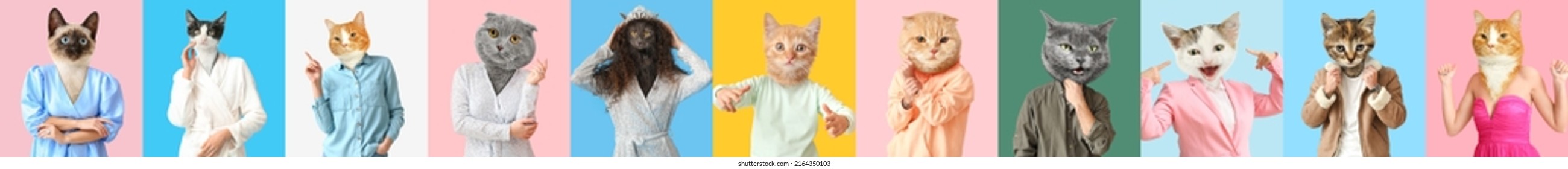 Set of cute cats with human bodies on colorful background - Shutterstock ID 2164350103