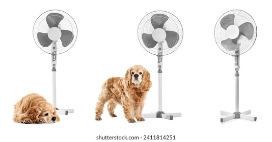 Set of cute dogs with electric fans on white background - Powered by Shutterstock