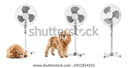Set of cute dogs with electric fans on white background