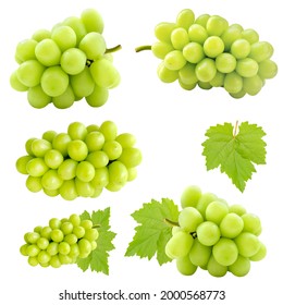 Set Of Cutout Beautiful Bunch Of Fresh Green Shine Muscat Grape And Leaf Isolated On White Background