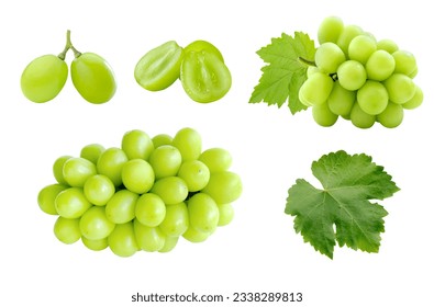 Set of cutout fresh Shine Muscat grape and leaf isolated on white background