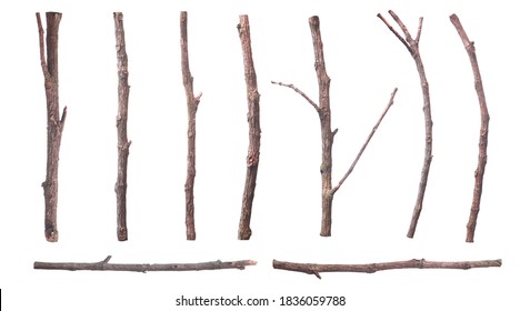 set of dead dry twigs shaped brown bark Isolated on white background