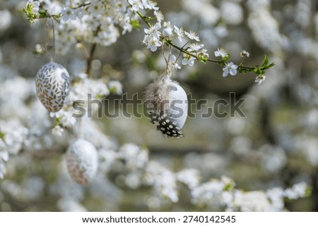 Set of decorative Easter eggs including a white egg with feather hanging on a blossoming spring tree branch
