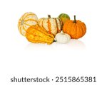 Set of decorative pumpkins isolated on white background. Variety of ornamental, edible and decorative gourds.