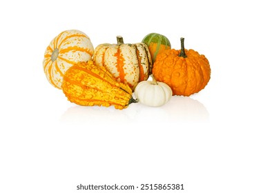 Set of decorative pumpkins isolated on white background. Variety of ornamental, edible and decorative gourds. - Powered by Shutterstock