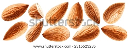 Set of delicious almonds isolated on white background.