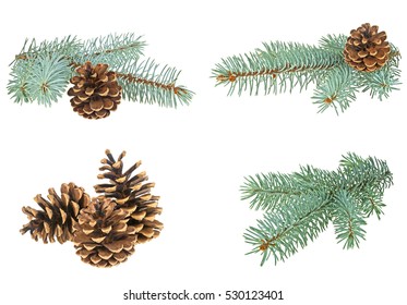 Set of different Christmas decorations. Blue spruce twig with cone isolated on a white background. 