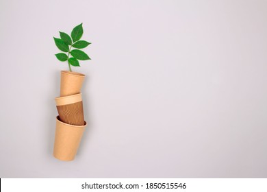 Set Of Different Eco-friendly Coffee To Go Cups - Kraft Paper Cup With Green Leaves Above On Light Grey Background With Copyspace. Recycled Kraft Paper Packaging And Zero Waste Concept, Mockup Image