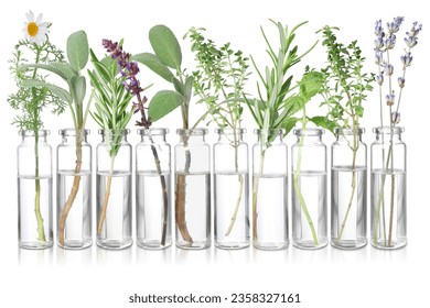 Set of different essential oils with herbs isolated on white
