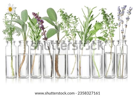 Set of different essential oils with herbs isolated on white