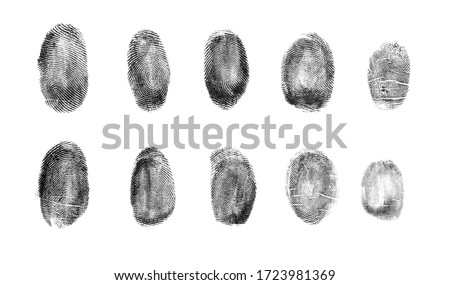 Set of different fingerprints on white background, top view 