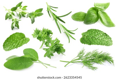 Set of different herbs isolated on white