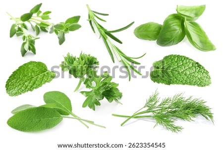 Set of different herbs isolated on white