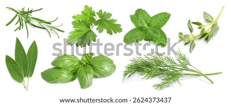 Set of different herbs isolated on white